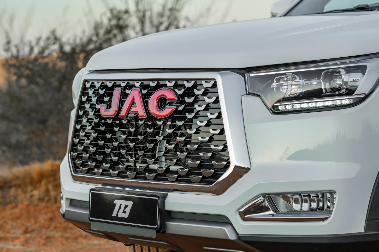 JAC T8 — detail 2