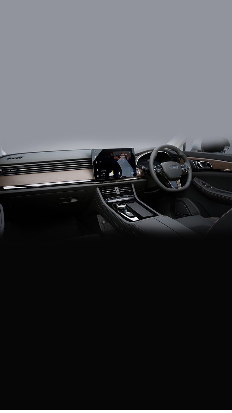 Skyworth E6 interior — symmetrical dashboard view